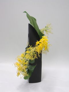 春を呼ぶ黄色い花_c0165824_2220518.jpg