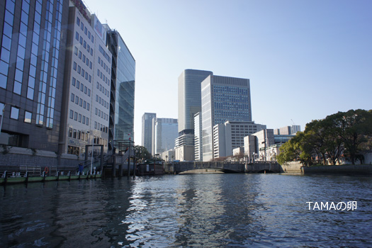c0024729_2039193.jpg