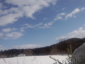 b0234545_10544982.jpg