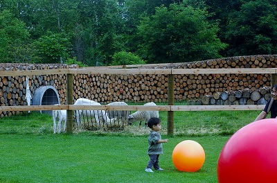 f0202445_10455086.jpg