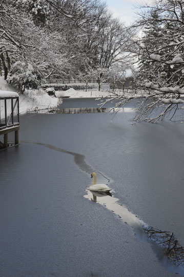 c0093046_9445732.jpg