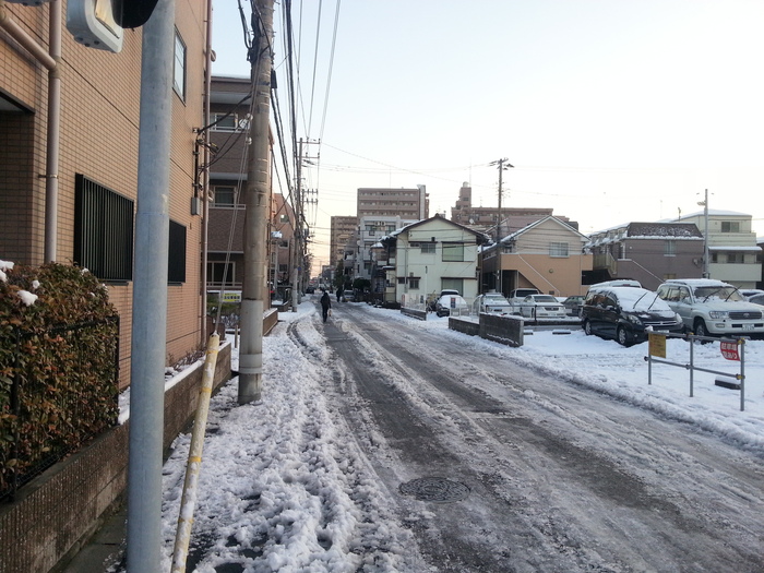 列車で行く富嶽十二景7番「百蔵山」_a0122149_2128538.jpg