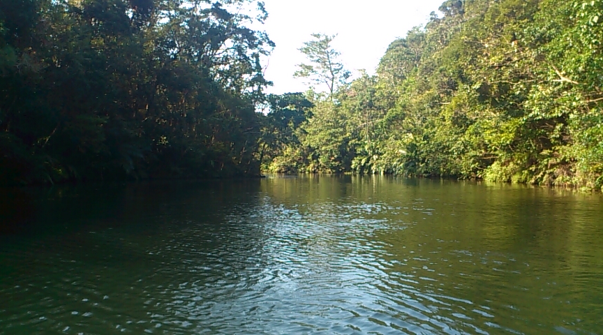 b0275351_17551033.jpg