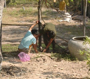 f0235252_1133.jpg