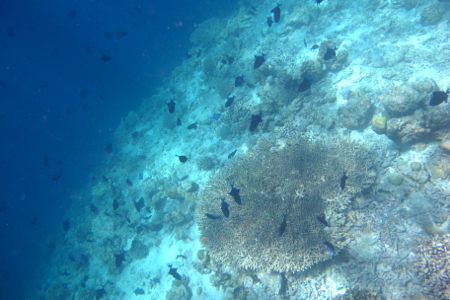 f0190653_1646334.jpg