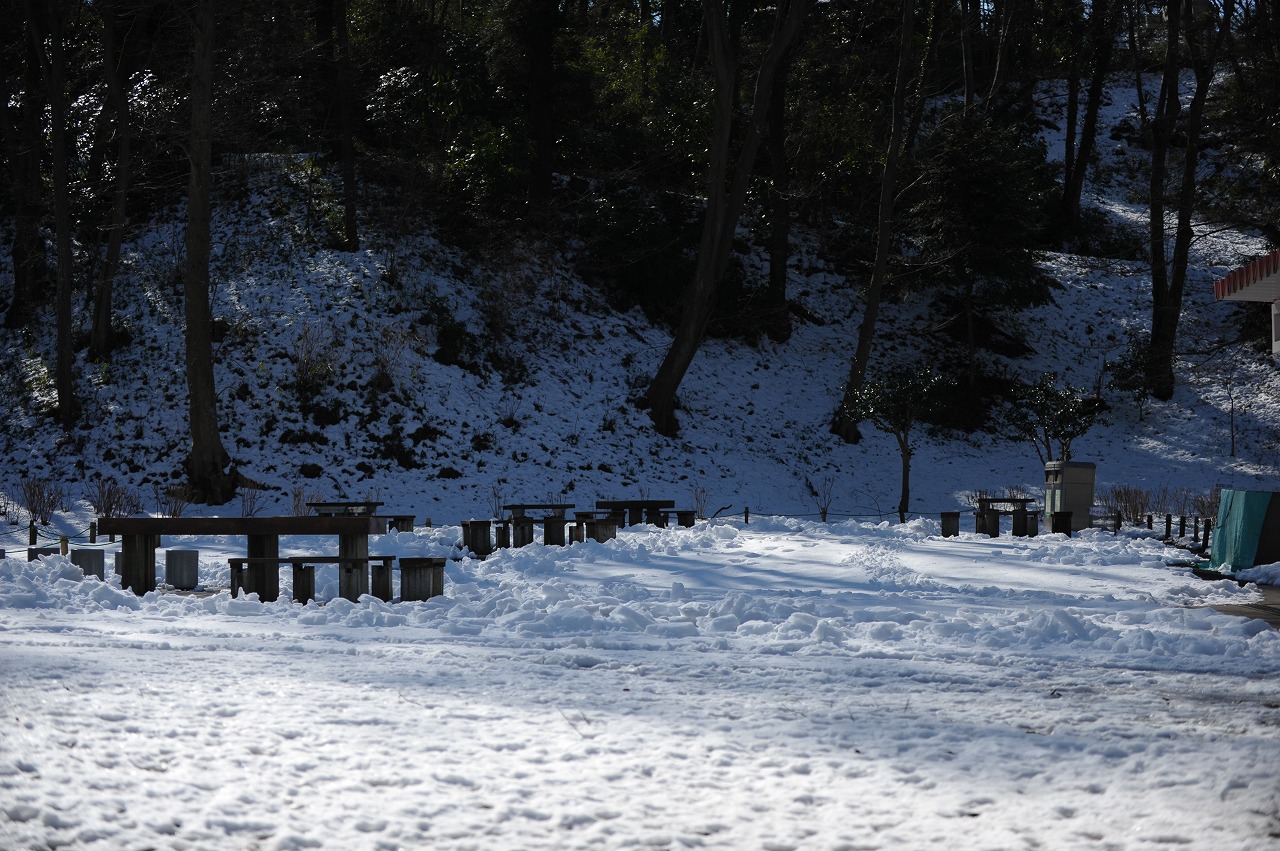 アフリカの雪_a0142056_17431138.jpg