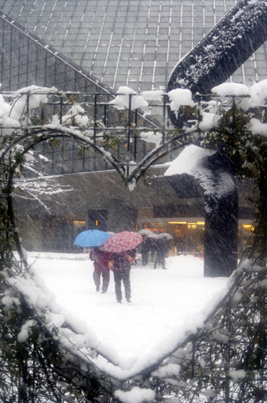 雪の東京芸術劇場_b0164664_20585979.jpg