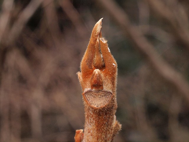 b0135573_18241783.jpg