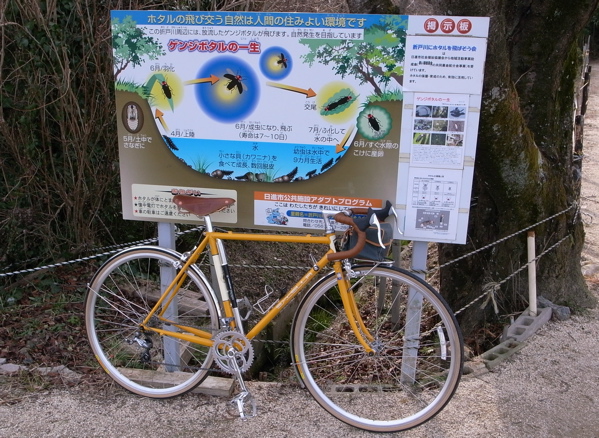 f0124378_2091997.jpg