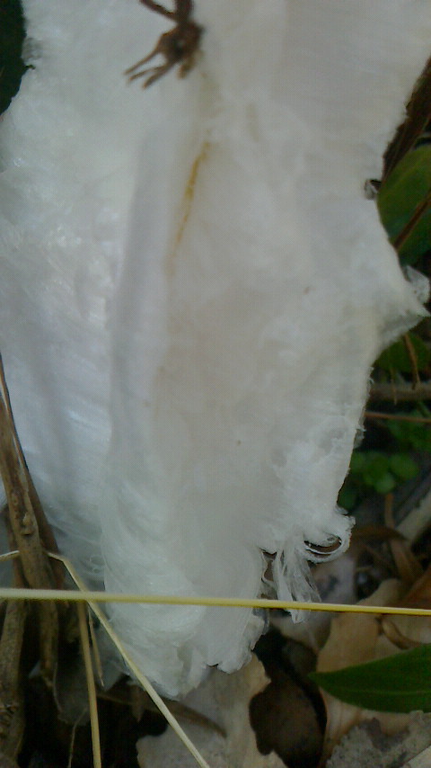 f0215179_22373165.jpg