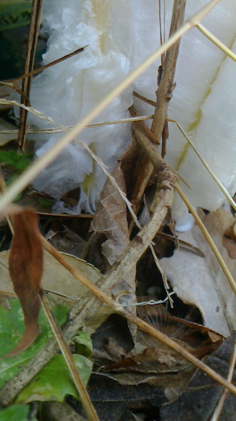 f0215179_22382955.jpg