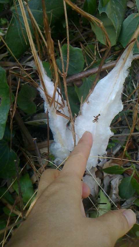 f0215179_22385377.jpg