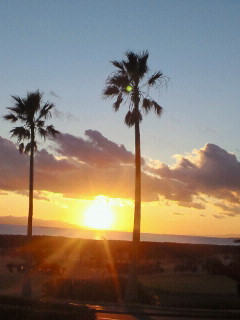 b0147481_1692524.jpg