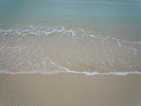 e0255187_1743537.jpg