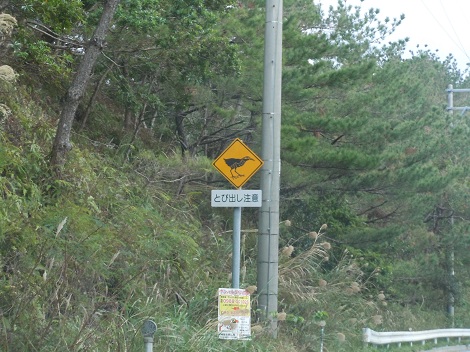 e0255187_1764530.jpg