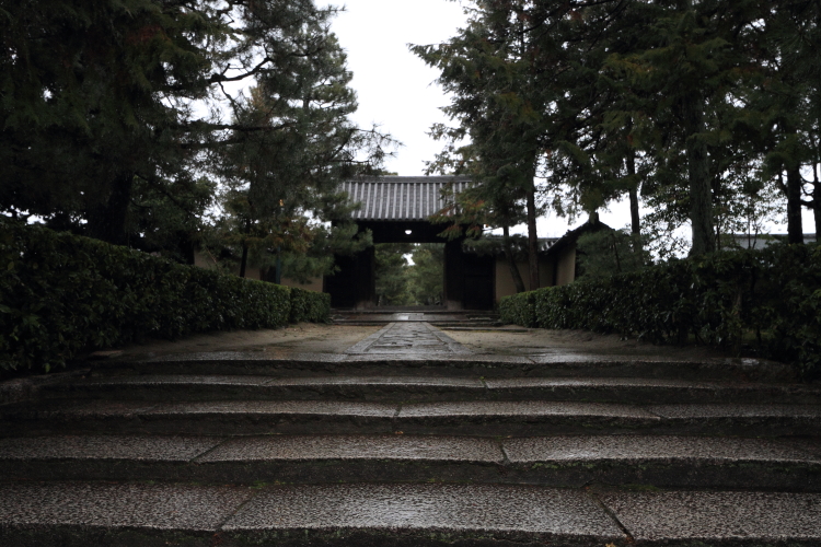 龍源院・瑞峯院(大徳寺塔頭)_e0051888_6144213.jpg