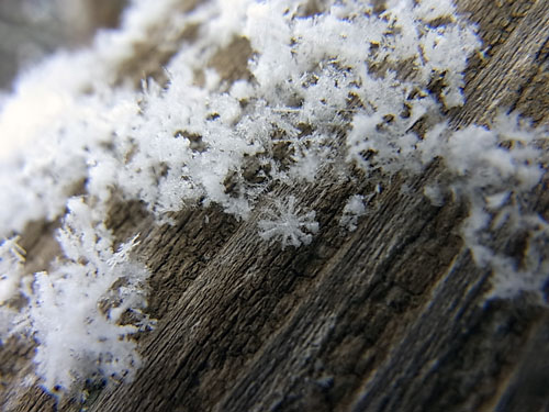 冬のデザイン ~雪の形~_f0236291_10565973.jpg