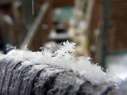 冬のデザイン ~雪の形~_f0236291_1058711.jpg