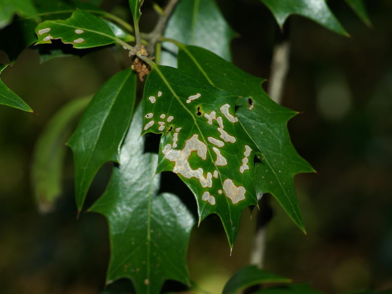f0204094_16333262.jpg