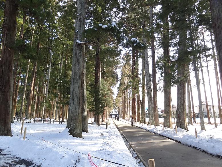 干支のパン　と　新年の雪の松島_f0075595_0055100.jpg