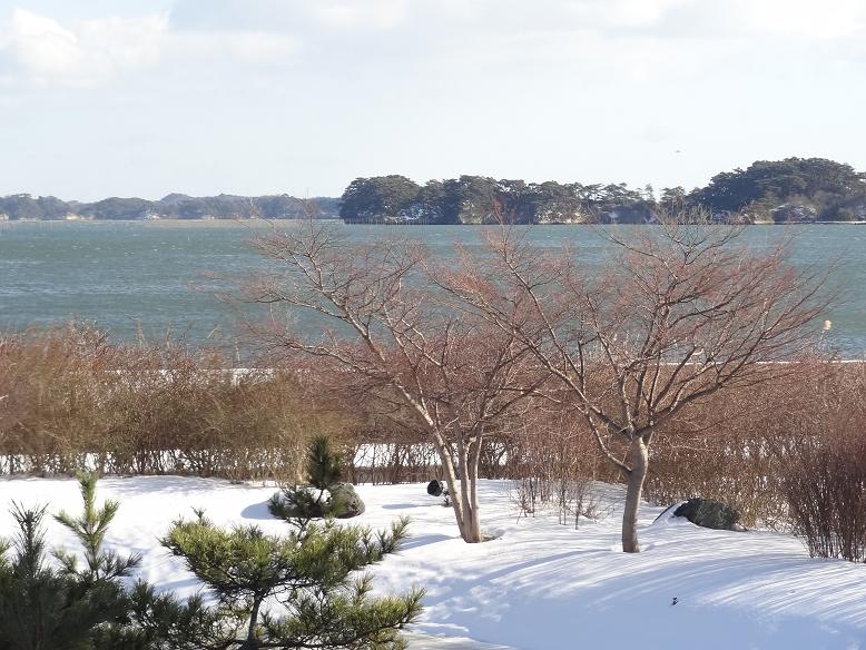 干支のパン　と　新年の雪の松島_f0075595_035398.jpg