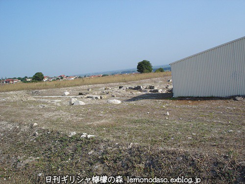 c0010496_612752.jpg