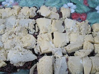 ユネスコ世界のお料理フェスタ2013 _a0265401_15274615.jpg