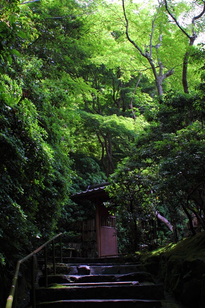 c0228404_1653516.jpg