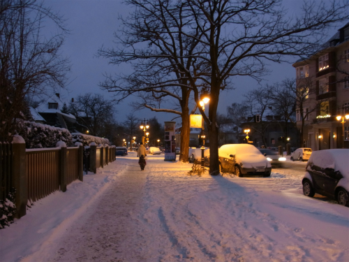 e0149604_2012145.jpg