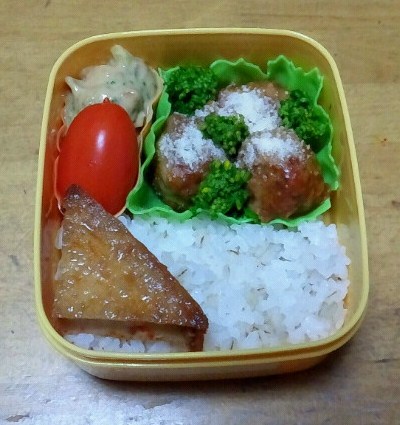 サラ弁。。。煮込みミートボール弁当_a0211008_2322223.jpg