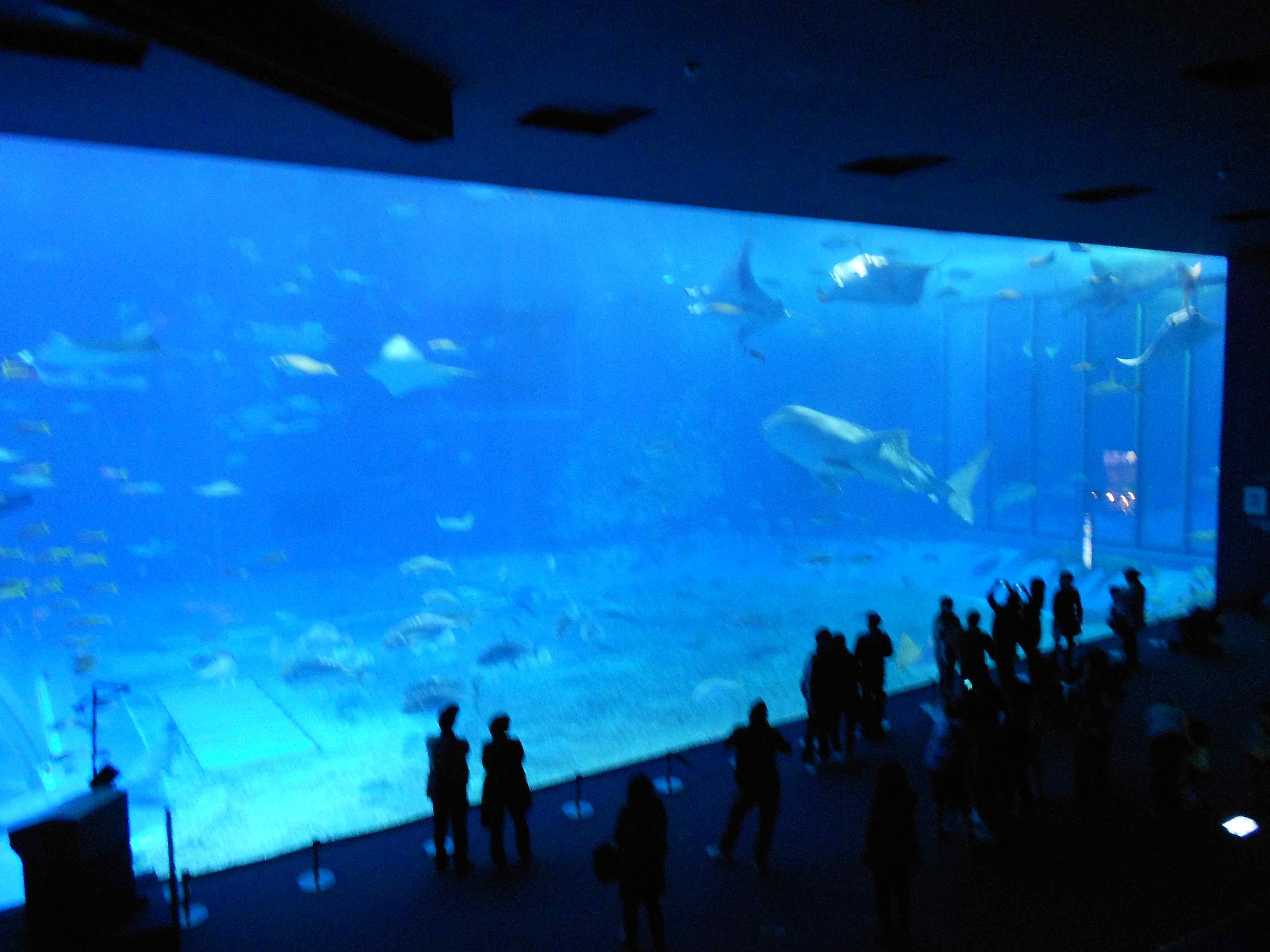 d0255522_032555.jpg