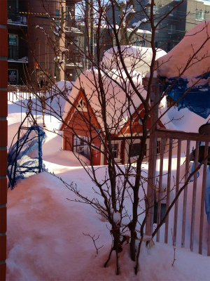 f0170524_1353232.jpg