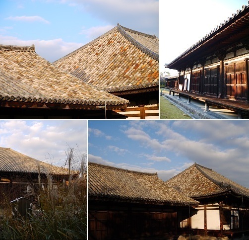 飛鳥時代の屋根瓦　～元興寺（奈良）～_c0235725_18584126.jpg