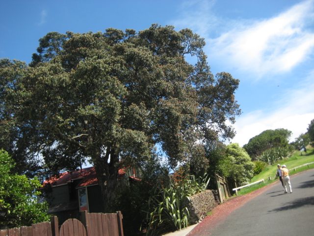 a0254130_1453163.jpg