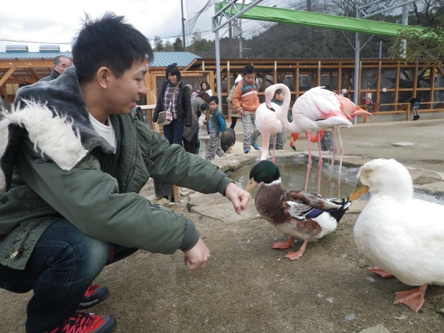 トリアス　ふれあい動物園_a0272033_20574033.jpg