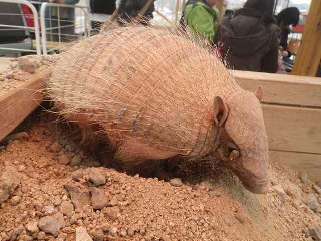 トリアス　ふれあい動物園_a0272033_20585938.jpg