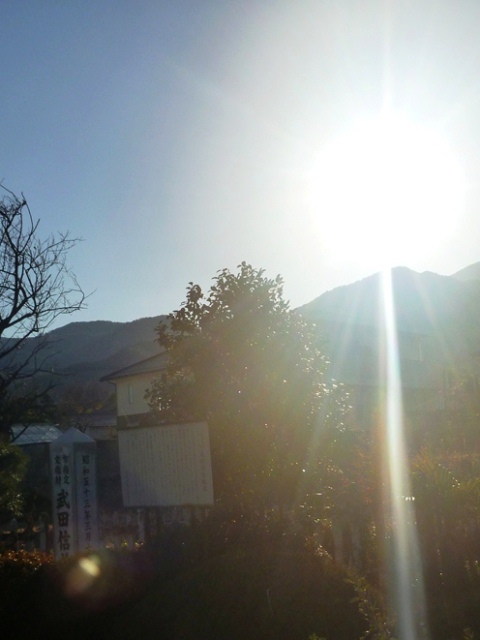e0027240_1736268.jpg
