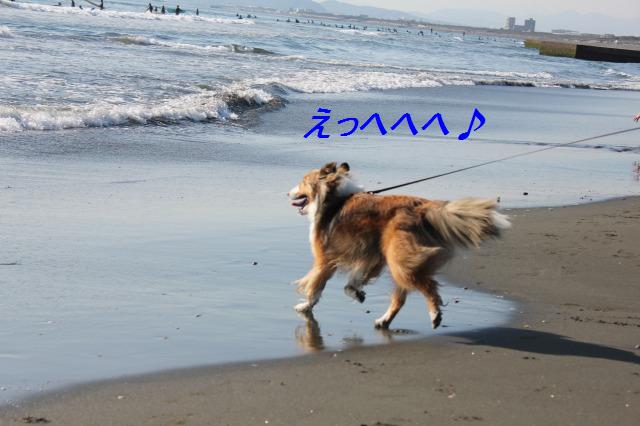 江ノ島みんなでお昼&水シブキック!_e0195743_1446502.jpg