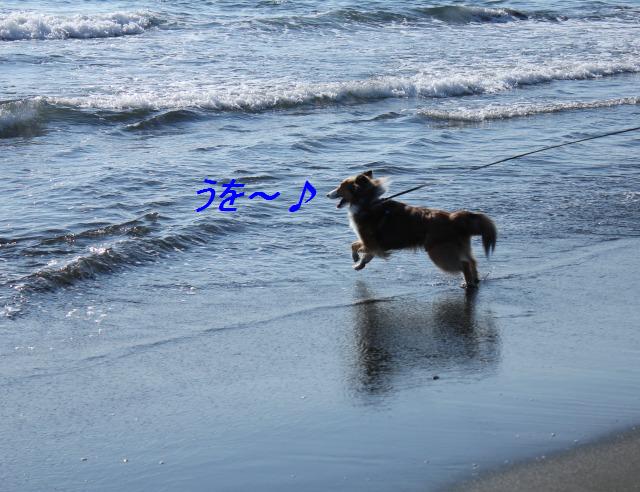 江ノ島みんなでお昼&水シブキック!_e0195743_1447192.jpg