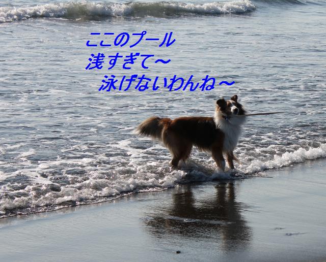 江ノ島みんなでお昼＆水シブキック！_e0195743_14474466.jpg