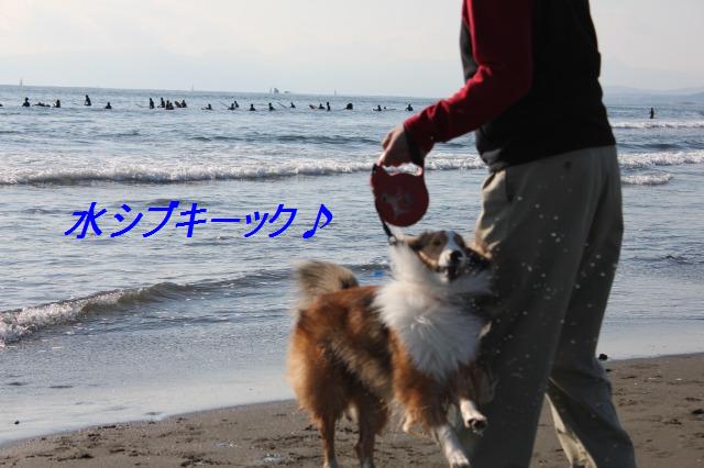 江ノ島みんなでお昼&水シブキック!_e0195743_14493180.jpg