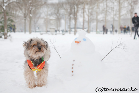 フランスの雪だるまの秘密…_c0024345_6424397.jpg