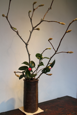 花だより_a0279848_2282028.jpg