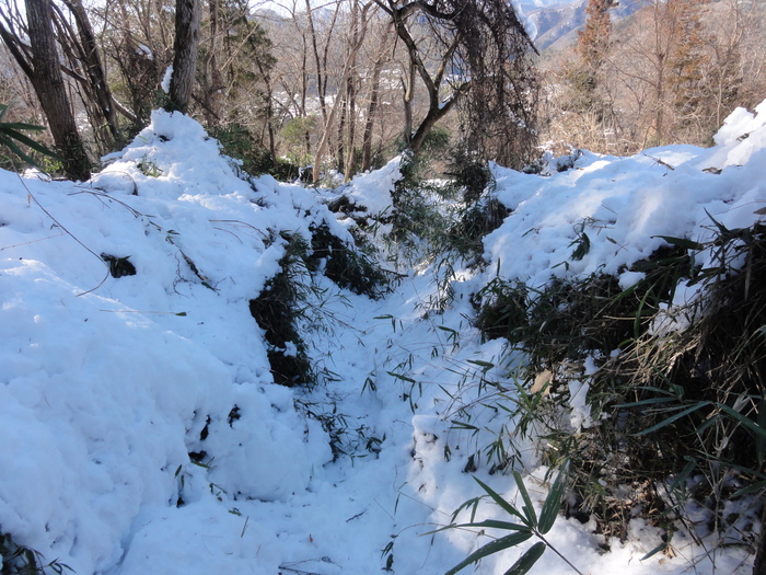 列車で行く富嶽十二景7番「百蔵山」_a0122149_22264512.jpg