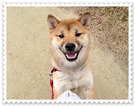 3年経って_c0049950_23175637.jpg