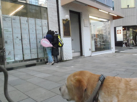 今年最初の小川動物病院_f0052277_0185429.jpg