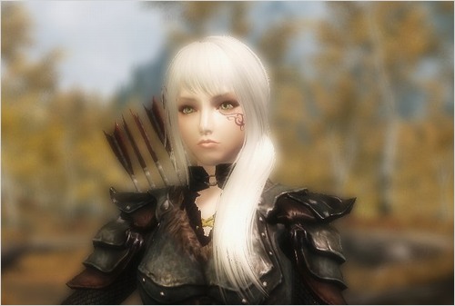 PC SKYRIM 新・使用中MOD その1 美顔(美化)編_e0080379_2127927.jpg