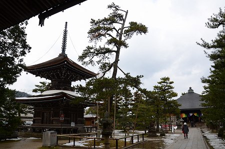 天橋立　智恩寺_c0229483_21171587.jpg