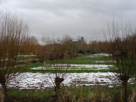 a0247585_57156.jpg
