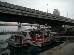 b0192588_11163552.jpg
